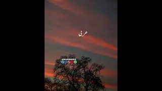 SAHABA ny arazz | kea ya Rasool ullah | hamara rab kaha | hy  #islamicstatus  #ajmalrazaqadri #islam