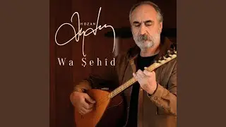 Wa Şehîd