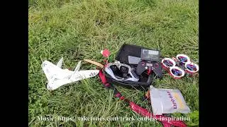 LDARC 450X Tiny Wing - 118g FPV PLANE