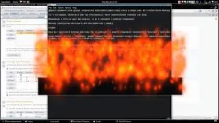 BurpSuite в Kali Linux Часть 1