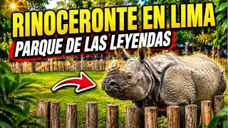 Nueva visita al PARQUE de las LEYENDAS #parati #zoologico #viralvideo