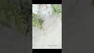 Апа туулган кунунуз менен 