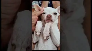Niki is sleeping🥹😍