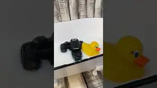 Milk Bath