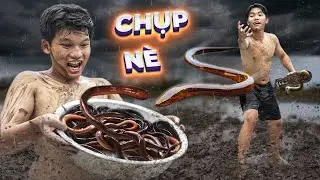 𝐓𝐞𝐚𝐦 𝐓𝐨𝐧𝐲 Ra Vườn Bắt Lươn Trong Mùa Bão YAGI