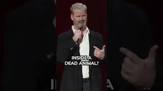 Thanksgiving | Jim Gaffigan