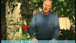 ТМ Тоника в рубрике 