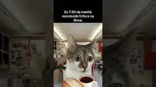 Gosta de fofoca? #memes #gatos #fofoca #trabalho