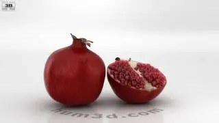Pomegranate 3D model by 3DModels.org