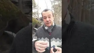 ВЕЛИКАЯ АССА 