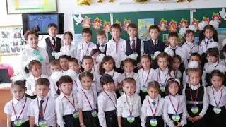 Olmazor tumani 29-maktabning boshlang'ich sinf o'qituvchisi Umarova Zamira