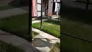 Элеф8  чудо капсулы