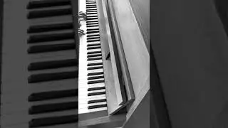 Emotional Piano Music - Thinking Of You
