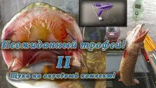Неожиданный трофей II ! Щука на "окунёвый" комплект!
