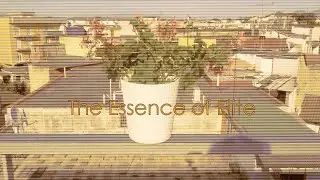 The Essence of Elite
