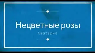 Клип 
