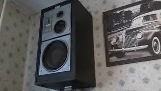 Акустика Кливер 100АС 002 1