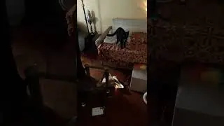 рвань