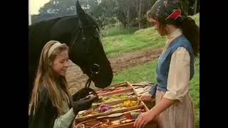 11 серия - Зов дикой природы  Часть 1 - Новые приключения Черного красавчика