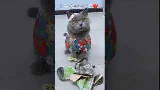 Don't Toss Cans Carelessly: Protect Stray Animals! 🐾🚫 