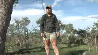 SafariLIVE 12/19/16 PM Drive