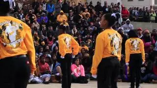 Homecoming 2012   Missouri Highsteppers