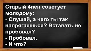 Разговаривают два 4лена, старый и молодой... Анекдоты! Юмор! Позитив!