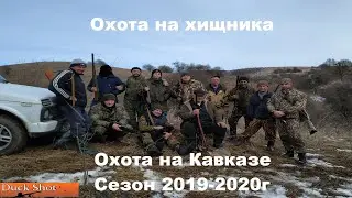 Predator Hunt! Beast in Body Armor! Season 2019-2020!