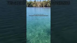 We can’t get enough of our Clear Kayak tours in Marianna Florida! These clear blue waters are WOW