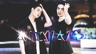 ⚜️Fighter x Tutor⚜️ 🎶Animals🎶 ⚜️Why R U⚜️