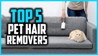 ✅Top 5 Best pet hair removers of 2024