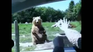 Не вероятные случаи бывают. There are no probable cases in life.