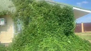 Уехали на отдых….