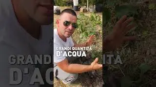 Tanti ortaggi in poco spazio. Ecco la hügelkultur!