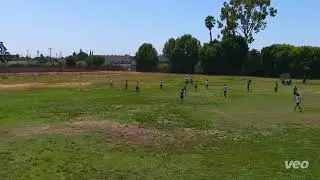 Player Hit in Back -Ref Does Nothing