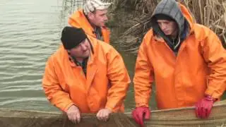 Novokahovskiy rybovodnyi zavod chastikovyh ryb 38 40 20