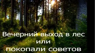 Вечерний выход в лес