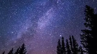 Татьяна Житкова. Не спрашивай меня...