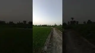 Imran khan Toshakhana case