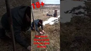 Война - оборона - коктейль молотова