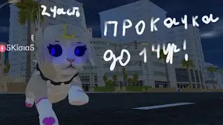 ПРОКАЧКА 9-14 В CAT & PUPPY WORLD