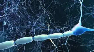 Dr. Ralph Kern Explains How an Imbalance of the Immune System Can Cause Damage to the CNS