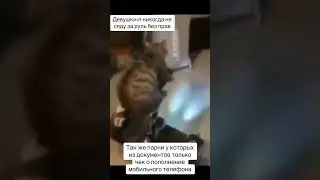 еври парень момент #memes #shorts #short