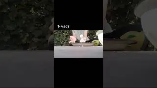 Құрт жасау жолы.