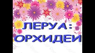 Леруа:ПРЕКРАСНЫЙ завоз ОРХИДЕЙ,02.09.22.ТЦ 