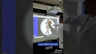 3) Dissecação - Lousa Digital Universátil ®