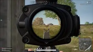 WHY NOT PUBG?