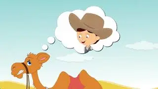Мөлдір деннелер мен материалдар