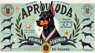 VODKA VON DASBIDU / IGP3 APROVADA