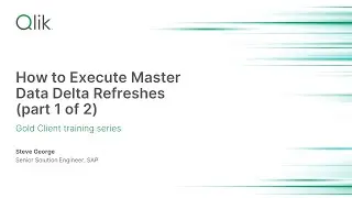 How to Execute Master Data Delta Refreshes part 1 of 2